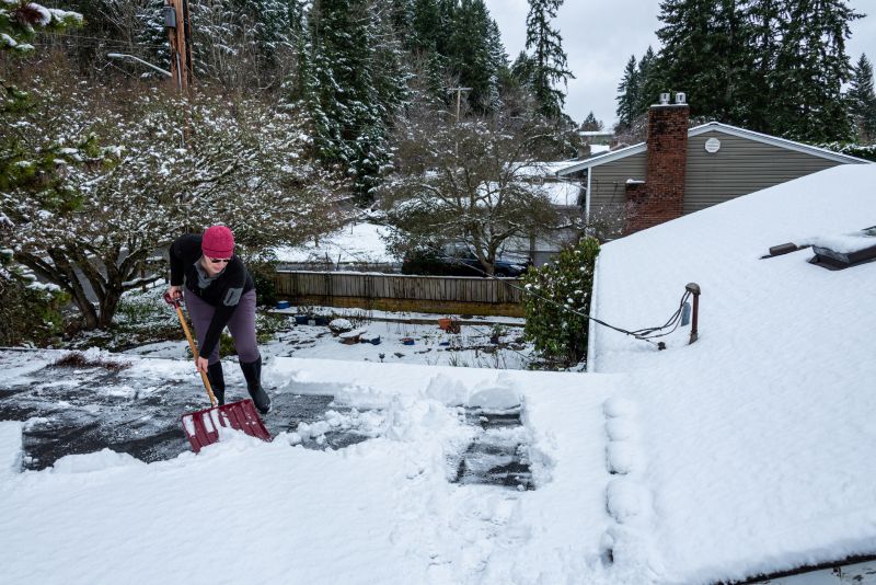 Local Roofing Specialists